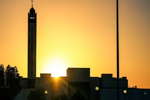 W 2016 r. w 31-milionowej Arabii Saudyjskiej pracowało 1599 dentystów (fot. pixabay) Arabia Saudyjska redukuje liczbę absolwentów stomatologii o połowę