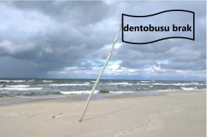 Dentobus na Pomorzu nie pracuje (foto: pixabay) Na Pomorzu boją się dentobusów
