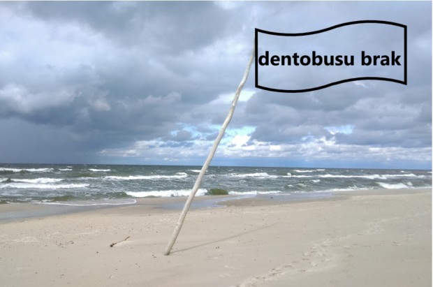 Dentobus na Pomorzu nie pracuje (foto: pixabay) Na Pomorzu boją się dentobusów
