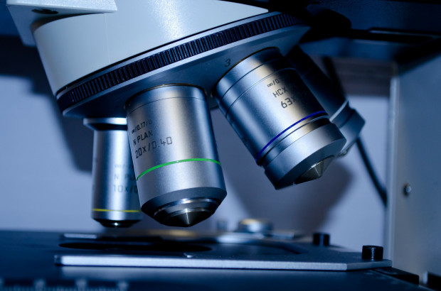 Jest substancja uniemożliwiająca bakteriom tworzenie biofilmu, na razie u szczurów (fot. pixabay) Inhibitor próchnicy znaleziony