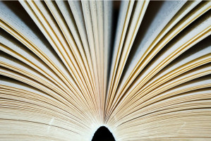 Patronat PTS dla Krakowskiej Szkoły Biznesu (foto: pixabay) Krakowska Szkoła Biznesu z patronatem PTS