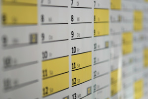 Terminy PWZ i staż (fot. pixabay) Dokumenty o PWZ i staż do 31 lipca