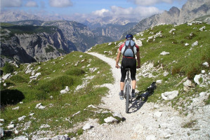 (fot. pixabay) Dentysta cyklista zbiera na fundusz pomocowy
