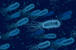 Specjalizacja nie dla lekarza dentysty (foto: pixabay) Mikrobiologia lekarska dla lekarzy dentystów