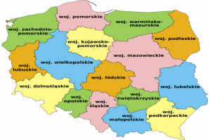 Jak wyglądała mapa świadczeń stomatologicznych wg NIK (fot. Wikimedia) Raport NIK o funkcjonowaniu opieki stomatologicznej w 2017 r.