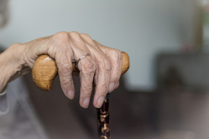 (fot. pixabay) Naukowcy: bakterie periodontologiczne mogą nasilać chorobę Alzheimera