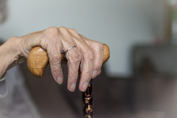 (fot. pixabay) Naukowcy: bakterie periodontologiczne mogą nasilać chorobę Alzheimera