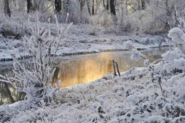 Kontakt zębów z zimnym powietrzem to problem (foto: pixabay) Mróz: ciężkie dni dla zębów