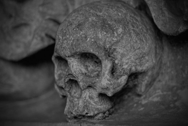 Zęby są bezcennym archiwum informacji o ludziach (fot. pixabay) Jak 100 tys. lat temu ludziom zęby rosły