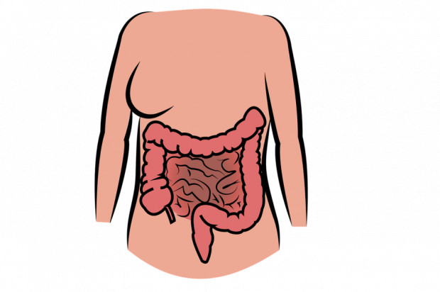 F. nucleatum ma związek z około jedną trzecią zachorowań na raka jelita grubego (fot. pixabay) Periodontogen nasila rozwój raka jelita grubego