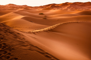 Sahara to niełatwy teren na maraton (fot. pixabay) Dentysta pobiegnie przez Saharę