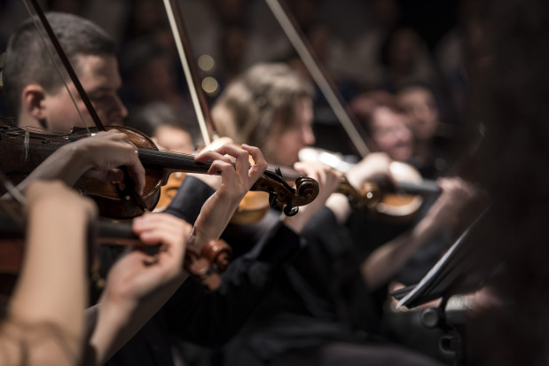Muzycy kanadyjscy biorą udział w akcjach charytatywnych stomatologów (fot. pixabay) Koncert dla najbardziej potrzebujących opieki stomatologicznej