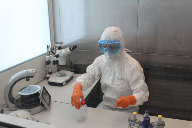 Dr Katarzyna Gębczak podczas pracy w laboratorium Centrum Zaawansowanych Terapii Komórkowych UM we Wrocławiu (fot. Archiwum) Wrocław: wkrótce zaawansowana terapia komórkowa na potrzeby stomatologii