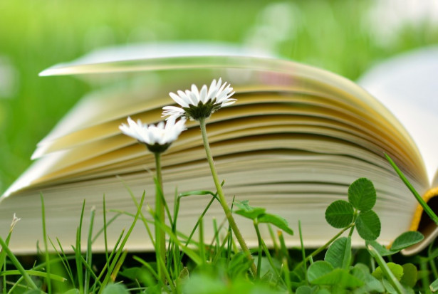 (fot. pixabay) Dentystka wspiera bibliotekę, biblioteka wspiera dentystkę