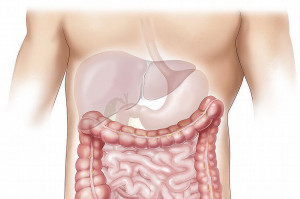 Nieświadomy choroby pacjent może zakażać wirusem HCV (fot, pixabay) Jeden na 10 Polaków wie, że jest zakażony WZW