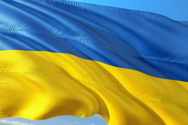 Tylko ułamek procenta ukraińskich pracowników na polskim rynku pracy jest zainteresowanych pracą stomatologa (fot. pixabay) Ukraińcy nie popracują w Polsce jako stomatolodzy