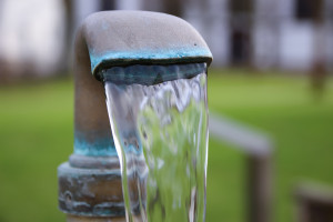 Dzieci, u których poziom fluoru we krwi był wyższy miały gorsze wskaźniki zdrowia nerek (fot. pixabay) Nerki vs. fluor: więcej pytań niż odpowiedzi