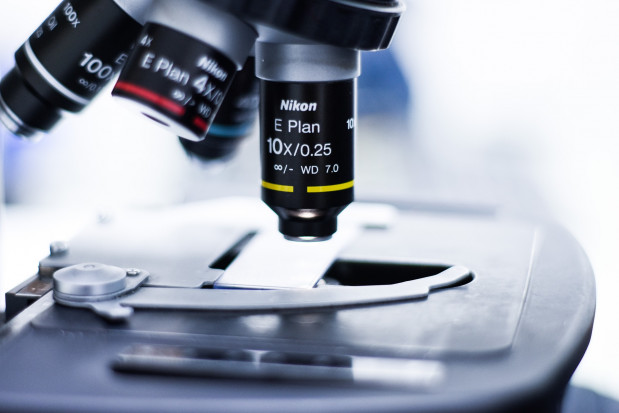 Prace laboratoryjne nad nowym lekiem periodontologicznym w toku (fot. pixabay) Żel, który hamuje utratę kości