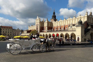 Kraków (fot. pixabay) Kraków: dr n med. Jadwiga Ciepły koordynatorem ds. próchnicy dzieci