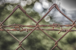 Dentysta w ZK w Sierakowie Śląskim (foto: pixabay) ZK w Sierakowie Śląskim poszukuje świadczeniodawcy w zakresie usług stomatologicznych