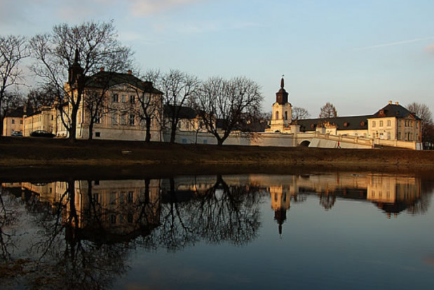 Pałac Potockich w Radzyniu Podlaskim (źródło: Wikipedia) Radzyń Podlaski namawia dentystów do leczenia dzieci