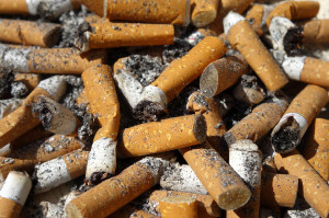 W skali globalnej co roku palacze papierosów produkują 5 bln niedopałków papierosów (fot. pixabay) Nawet zimne niedopałki papierosów są kancerogenne