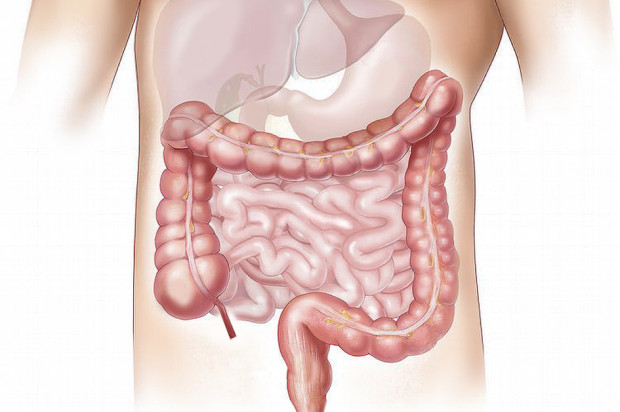 COVID-19: biegunka może być symptomem choroby