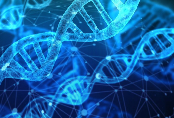 dna.jpg PTS Lublin zaprasza dentystów do udziału w badaniach nad COVID-19