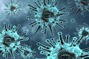 Co o epidemii COVID-19 wie FDI (fot. pixabay) FDI odkrywa stare karty na temat pandemii koronawirusa
