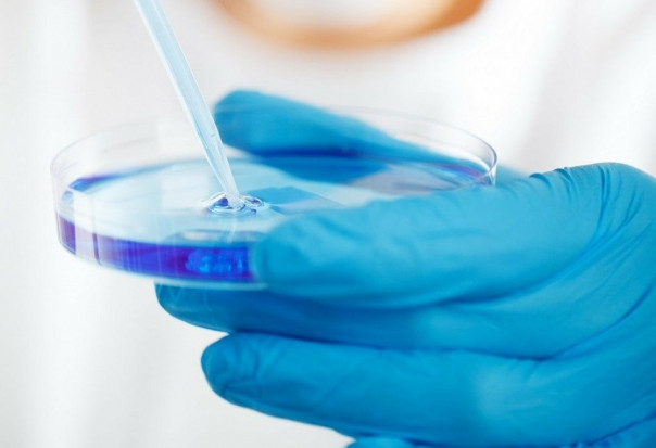COVID-19: zasady zlecania testów (foto: pixabay) Koronawirus: testy po uważaniu?