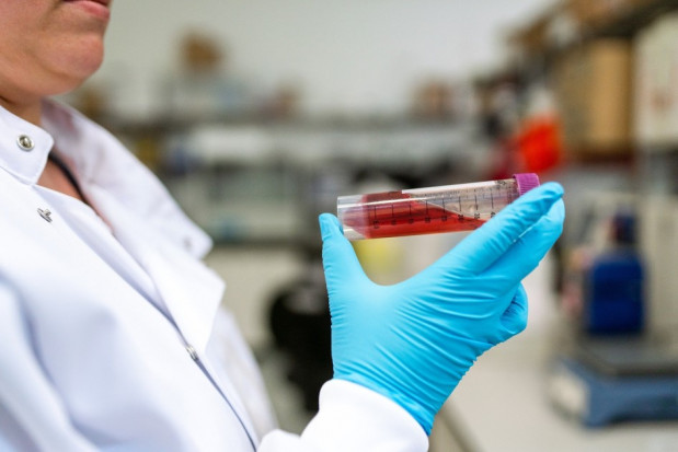 Koronawirus lista laboratoriów (foto: pixabay) Koronawirus: aktualna lista laboratoriów