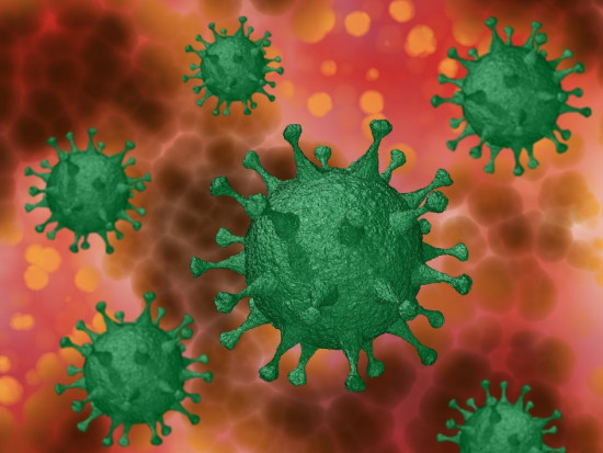 Odporność na koronawirusa drogą na uniknięcie II etapu epidemii (foto: pixabay) Instytut Pasteura: odporność u 70 proc. populacji pozwoli uniknąć II fali epidemii