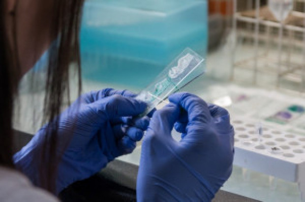 Poznawania charakteru wirusa SARS-CoV-2 (foto: pixabay) Koronawirus: droga infekowania organizmu