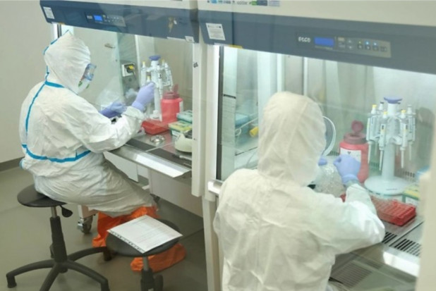 Laboratorium diagnostyki molekularnej SARS-CoV-2 (fot. UM w Lublinie) UM w Lublinie: uruchomiono laboratorium diagnostyki molekularnej koronawirusa SARS CoV-2