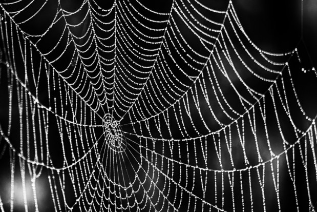 Zamknięte gabinety stomatologiczne (foto: pixabay) Pomoc stomatologiczna w powiecie nyskim na papierze
