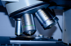 Nowy trop w kierunku opracowywania terapii periodontologicznej (fot. pixabay) Naukowcy: pasożytnicza ameba winna paradontozie