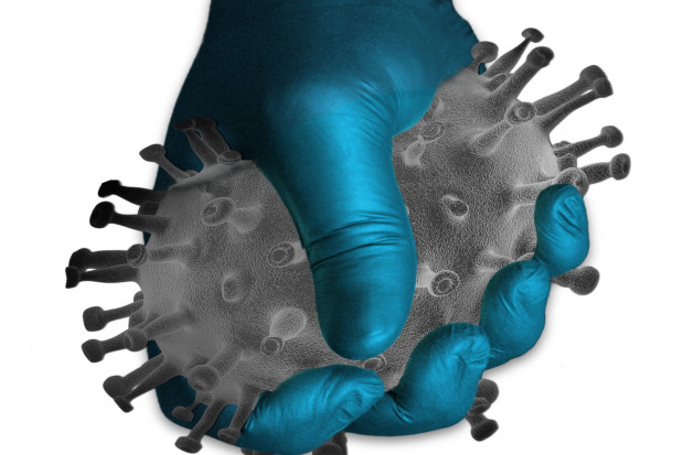Z testów wynika, że sytuacja epidemiczna na Śląsku nie jest tak zła jak się początkowo wydawało (fot. pixabay) Koronawirus: sytuacja na Śląsku jest już pod kontrolą