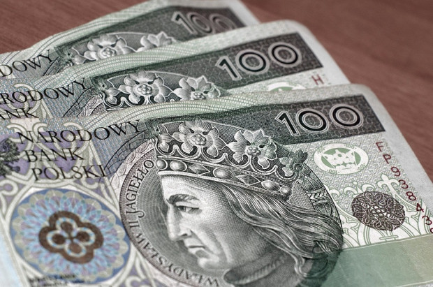 Statystyka zakupów w walce z koronawirusem (foto: pixabay) Koronawirus: MZ podaje wartość zakupów