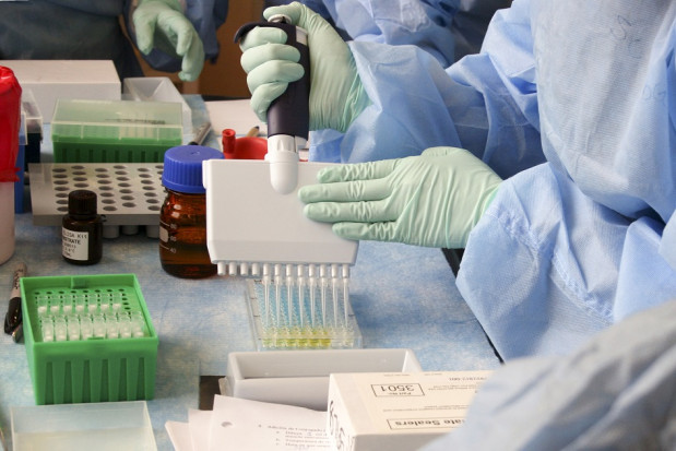 Testowanie koronawirusa (foto: archiwum) Koronawirus: dentyści domagają się badań przesiewowych pacjentów