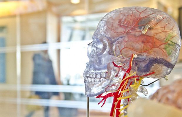 Neurologiczne skutki Covid-19 (foto: pixabay) Trzy stadia uszkodzenia mózgu u chorych na COVID-19