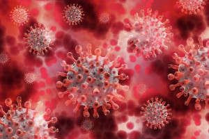 Statystyka koronawirusa (foto: pixabay) Epidemia nie słabnie, bo na szeroką skalę realizowane są na Śląsku badania przesiewowe…