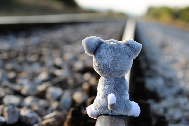 Kandydatka NRL na członka komisji ds. pedofil (foto: pixabay) Dlaczego dentystka jest kandydatką medyków na członka komisji ds. pedofilii?