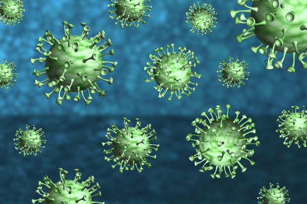 Bilans epidemii COVID - 19 (fot. pixabay) Koronawirus: 300 nowych przypadków zakażeń - 23 czerwca