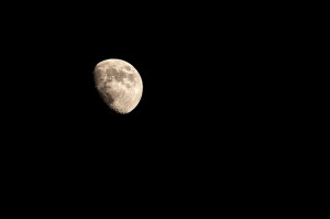Nocna pomoc stomatologiczna w Łodzi (foto: pixabay) Konkursy na leczenie stomatologiczne - do skutku