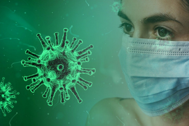 Statystyka epidemii COVID-19 (fot. pixabay) Koronawirus: 371 nowych przypadków zakażenia - 2 lipca