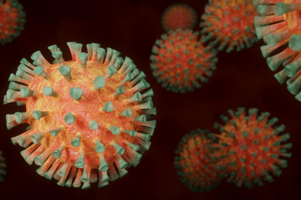 Statystyka epidemii (fot. pixabay) Koronawirus: 380 nowych przypadków zakażeń - 22 lipca