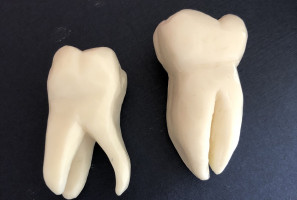 Kreatywni studenci stomatologii PUM (foto: PUM) PUM: zajęcia praktyczne studentów stomatologii na…mydle