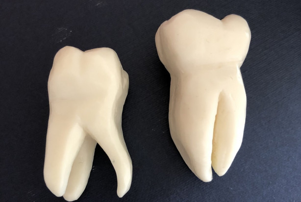 Kreatywni studenci stomatologii PUM (foto: PUM) PUM: zajęcia praktyczne studentów stomatologii na…mydle