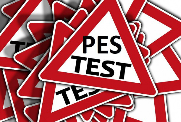 PES okrojony PES bez części ustnej