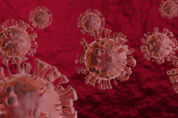 Statystyka epidemii (fot. pixabay) Koronawirus: 400 nowych zakażeń - 8 września